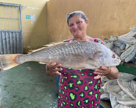 O Programa Peixe na Mesa realiza entrega de peixes todos os anos – Foto: Reprodução