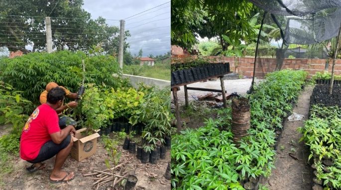 Integrantes do Ecolegis, da Assembleia Legislativa da Paraíba e moradores da Aldeia Três Rios - Foto: Reprodução